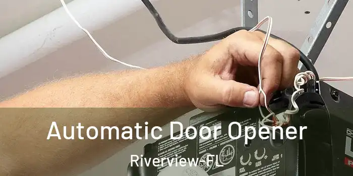 Automatic Door Opener Riverview-FL